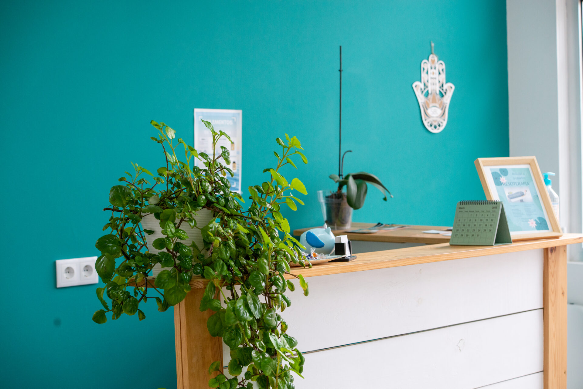 clinica-fisioterapia-ribeiro